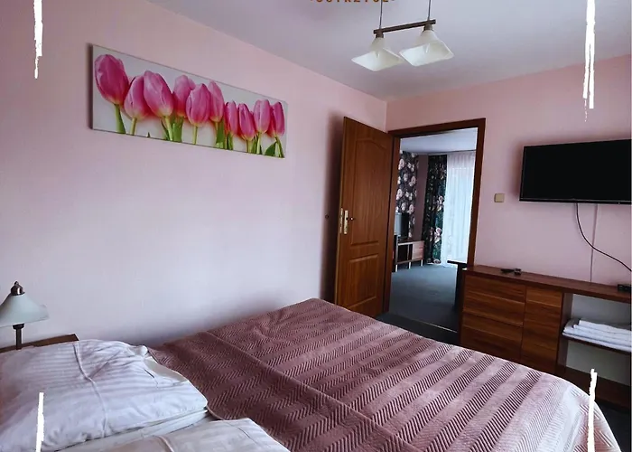 Centrum Rekreacji U Stolema